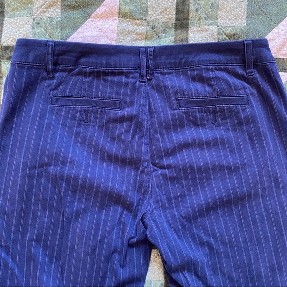 Anthropologie Pilcro Fit Hyphen Pants Size 29‎ Striped Blue Trouser Straight - Picture 6 of 11